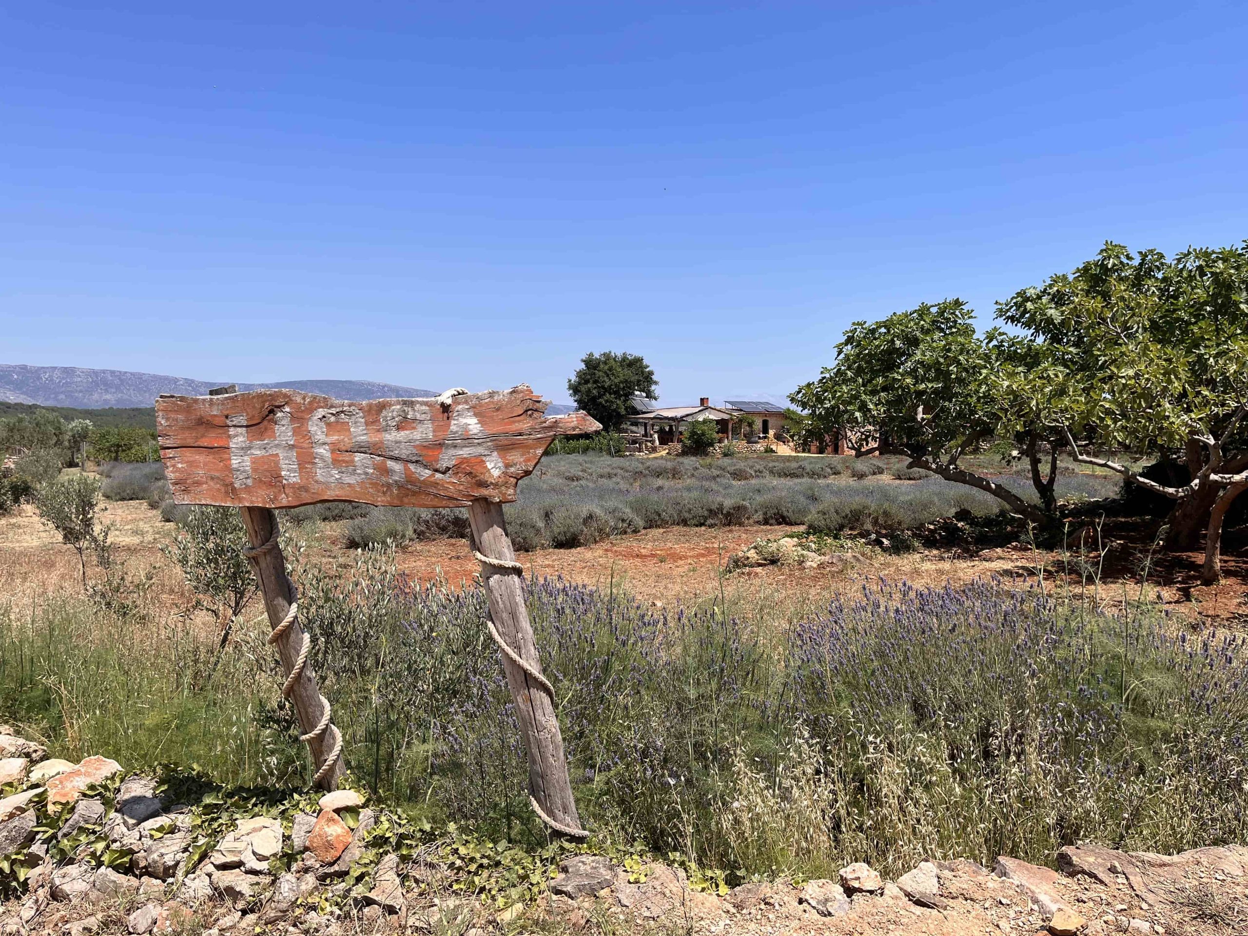 Hora estate, Stari Grad Plain, Hvar Island Croatia