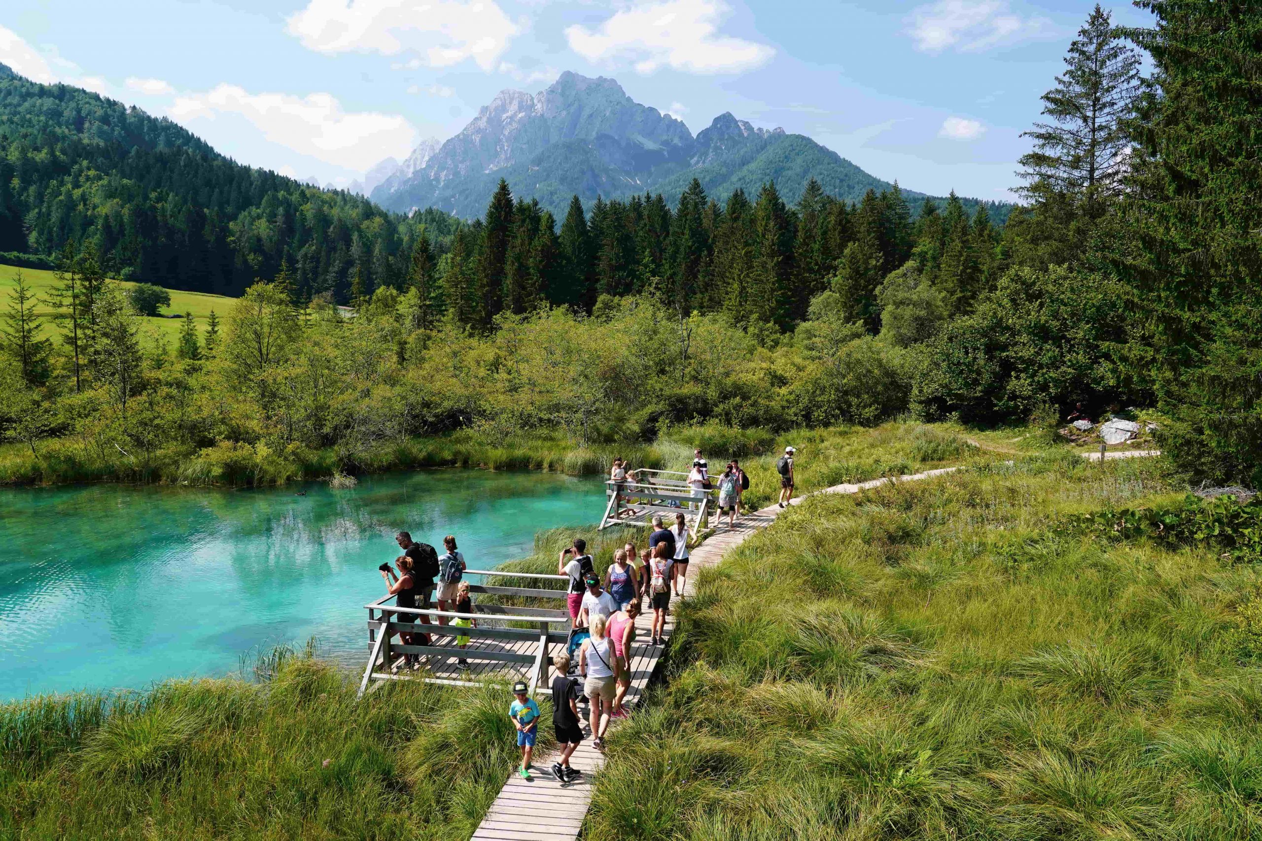 Zelenci Nature Reserve, Kranjska Gora, Slovenia